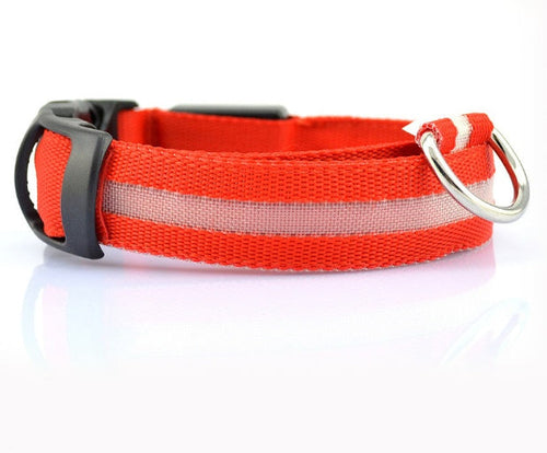 Collar luminoso LED para perros – Seguridad y visibilidad nocturna