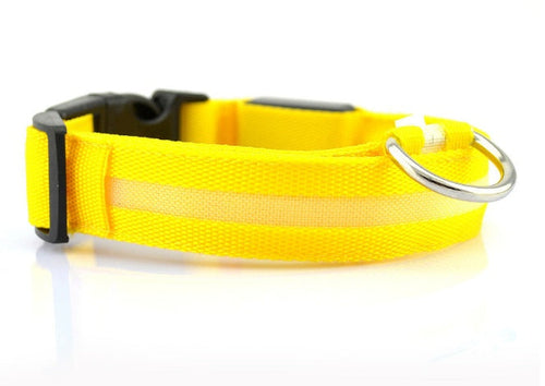 Collar luminoso LED para perros – Seguridad y visibilidad nocturna