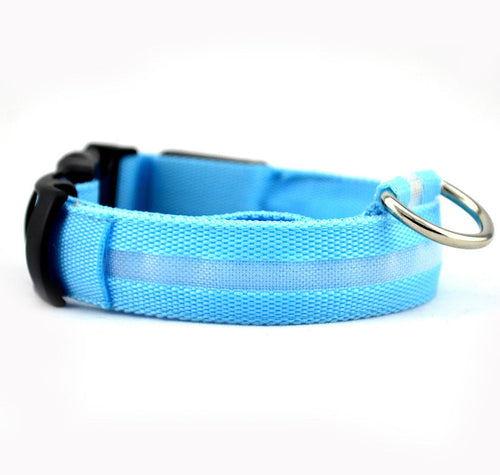 Collar luminoso LED para perros – Seguridad y visibilidad nocturna