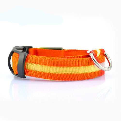 Collar luminoso LED para perros – Seguridad y visibilidad nocturna