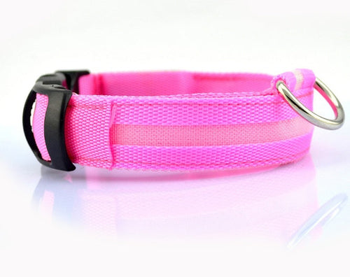 Collar luminoso LED para perros – Seguridad y visibilidad nocturna