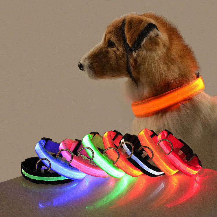 Collar luminoso LED para perros – Seguridad y visibilidad nocturna
