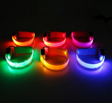 Collar luminoso LED para perros – Seguridad y visibilidad nocturna