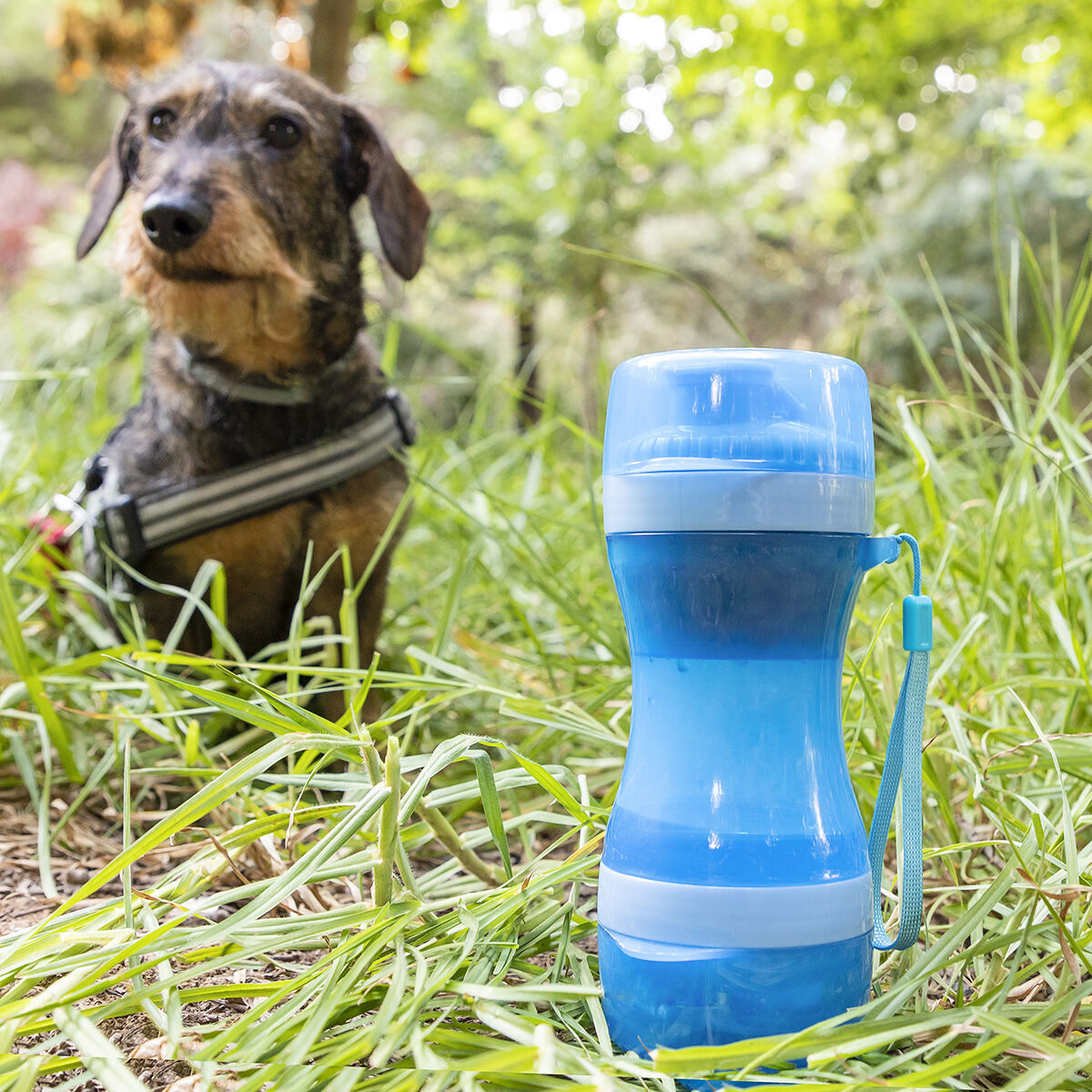 Botella 2 en 1 Dispensador de agua y comida portátil para mascotas