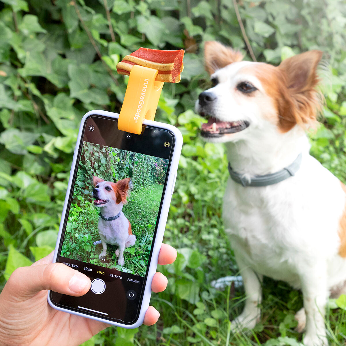 Clip para selfies con mascotas inquietas – Accesorio para fotos divertidas
