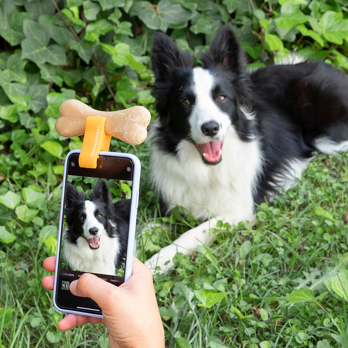 Clip para selfies con mascotas inquietas – Accesorio para fotos divertidas